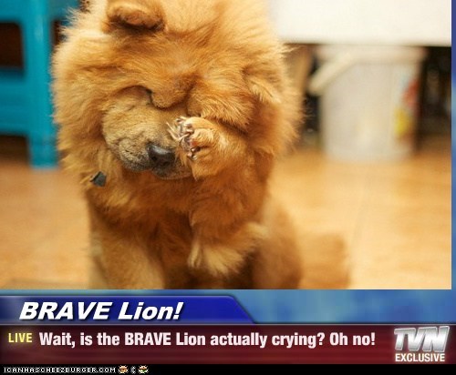 BRAVE Lion! - Wait, is the BRAVE Lion actually crying? Oh no!