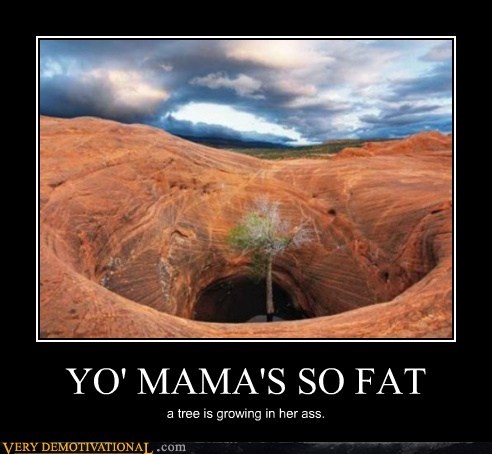 YO' MAMA'S SO FAT
