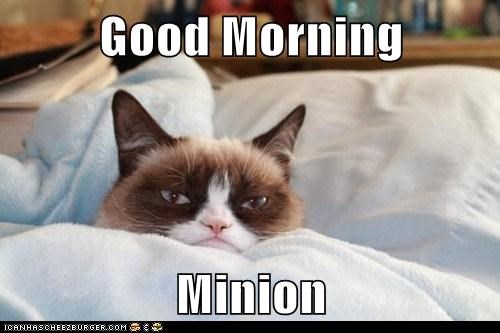 Good Morning  Minion