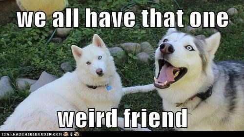we all have that one   weird friend