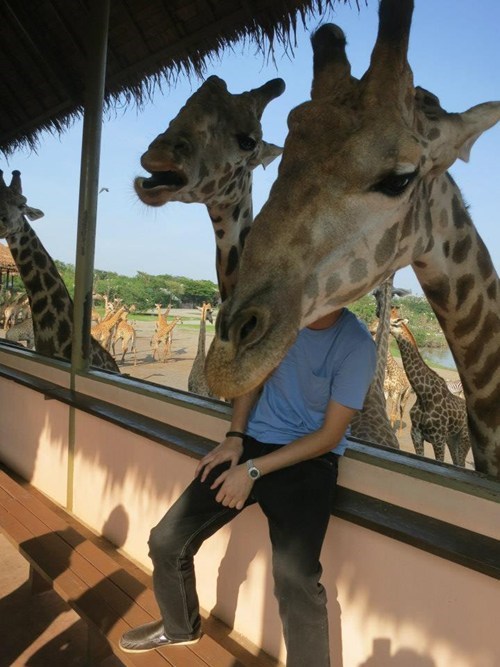 Why the Long Face?