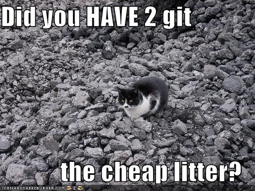 Did you HAVE 2 git  the cheap litter?