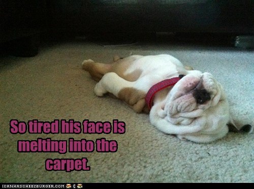 You Can't Get More Tired Than This