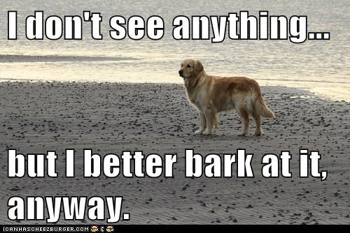 I don't see anything...  but I better bark at it, anyway.