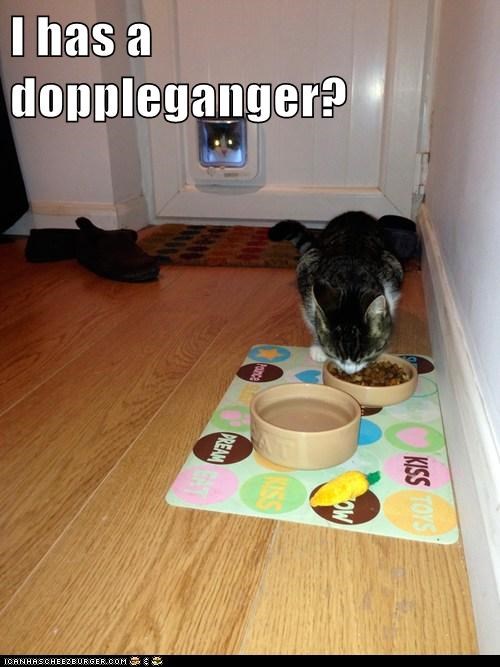 I has a doppleganger?