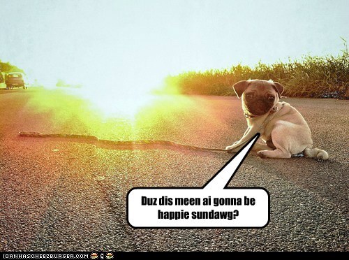 Duz dis meen ai gonna be happie sundawg?