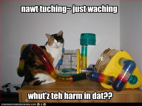 nawt tuching~ just waching