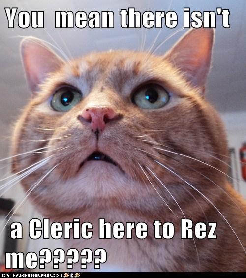 You  mean there isn't   a Cleric here to Rez me?????