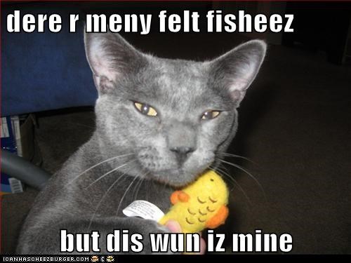 dere r meny felt fisheez  but dis wun iz mine
