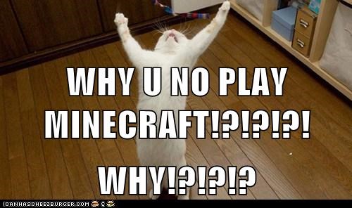 WHY U NO PLAY MINECRAFT!?!?!?! WHY!?!?!?