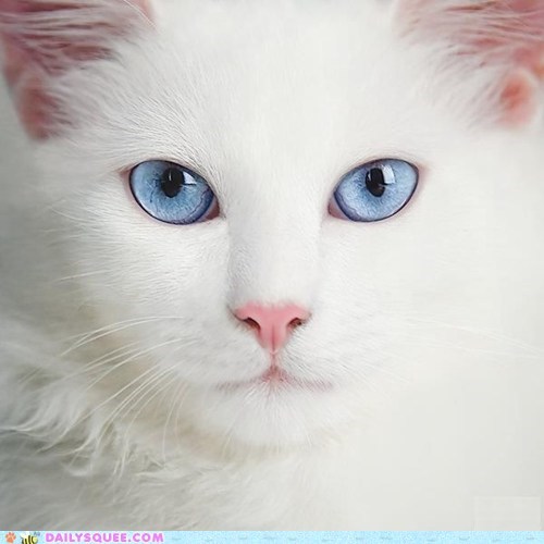 Those Eyes