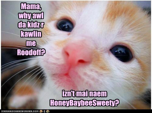 Mama, why awl da kidz r kawlin me Roodoff?