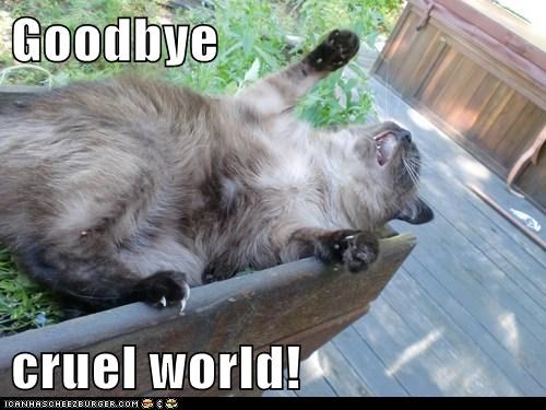 Goodbye  cruel world!
