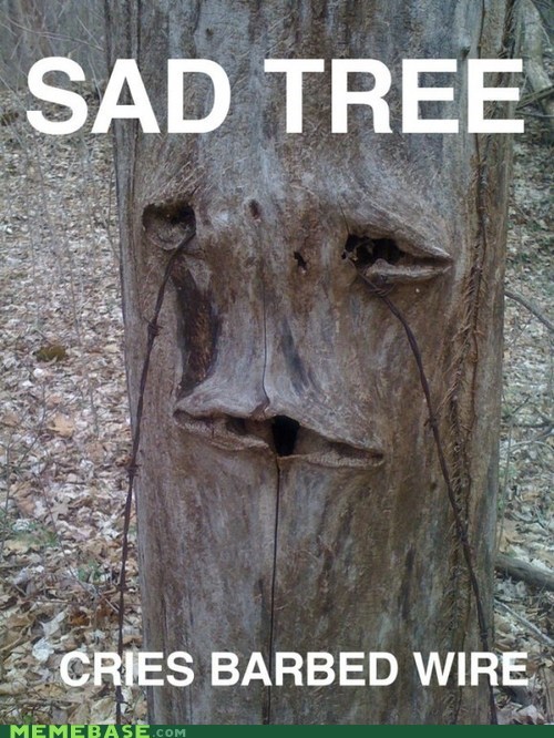 Sad Tree Will Get His Revenge on Chainsaw