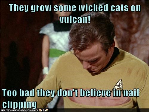 They grow some wicked cats on vulcan!  Too bad they don't believe in nail clipping