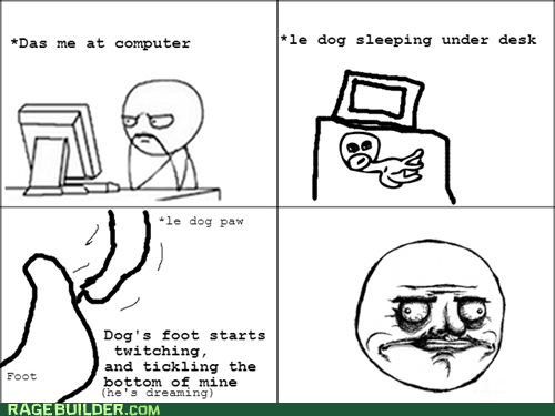 Perks of Having a Dog