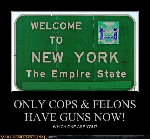 ONLY COPS & FELONS HAVE GUNS NOW!