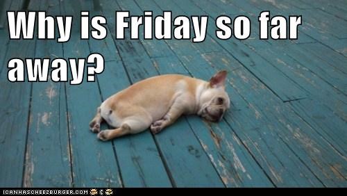 Why is Friday so far away?