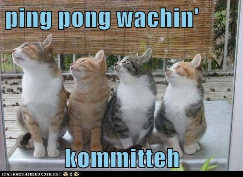 ping pong wachin'  kommitteh