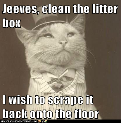 Jeeves, clean the litter box  I wish to scrape it back onto the floor