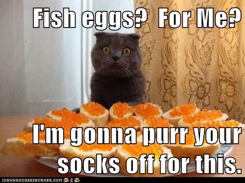 Fish eggs?  For Me?  I'm gonna purr your socks off for this.