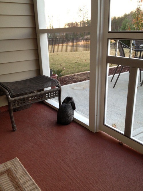 Bunday: Waiting 