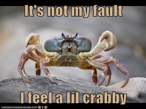 It's not my fault  I feel a lil crabby
