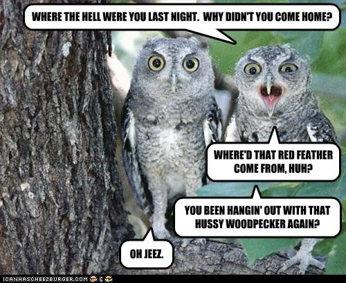 Aren't You Glad All We Here is Hooting?