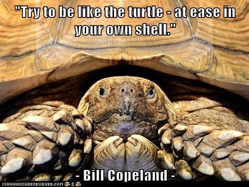 "Try to be like the turtle - at ease in your own shell."  - Bill Copeland -