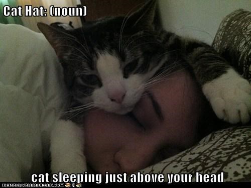 Cat Hat: (noun)   cat sleeping just above your head