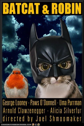 BATCAT & ROBIN - Movie Poster