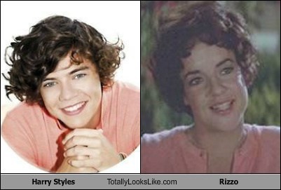 You Won't Believe Who Harry Styles Looks Like!