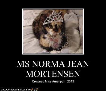MS NORMA JEAN MORTENSEN