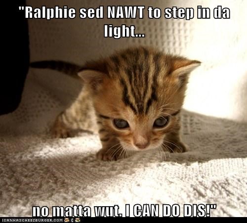 "Ralphie sed NAWT to step in da light...  no matta wut. I CAN DO DIS!"