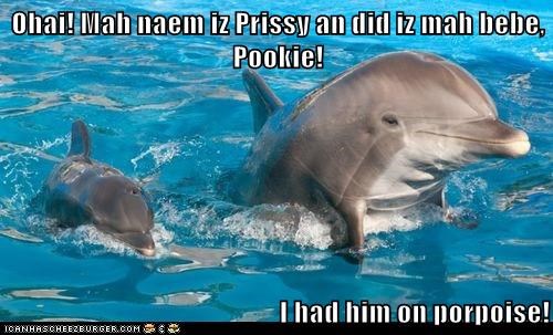 Ohai! Mah naem iz Prissy an did iz mah bebe, Pookie!  I had him on porpoise!