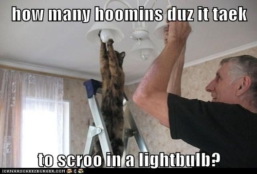 how many hoomins duz it taek  to scroo in a lightbulb?