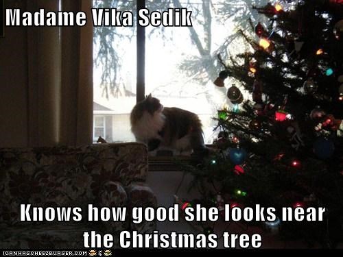 Madame Vika Sedik  Knows how good she looks near the Christmas tree