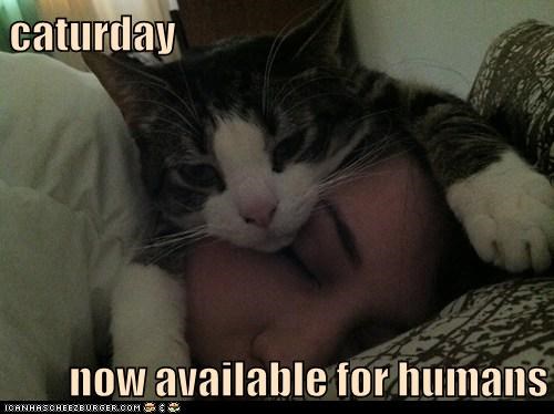 caturday  now available for humans