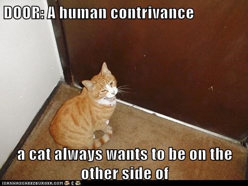 DOOR: A human contrivance  a cat always wants to be on the other side of