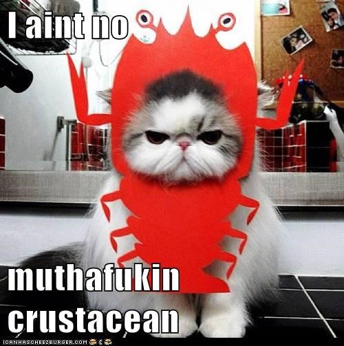 I aint no  muthafukin crustacean