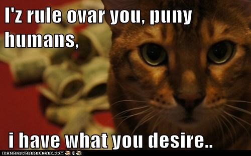 I'z rule ovar you, puny humans,   i have what you desire..