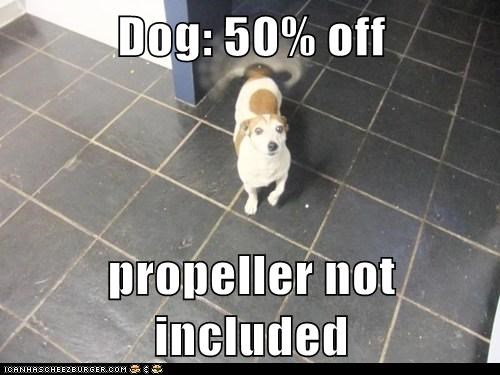 Dog: 50% off  propeller not included