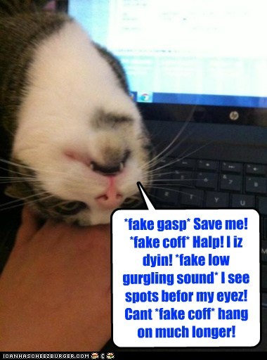 Let dis kitteh's desparate fake cries for attention be yer wake-up call to pet yer kittehs in reel life more befor dey getz all overdramatic