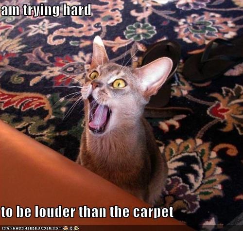 am trying hard  to be louder than the carpet