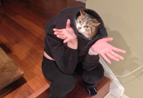 Don't Ask Me