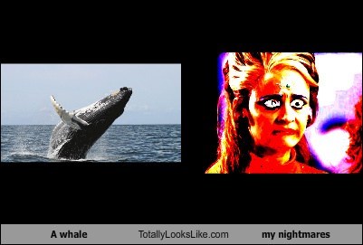 A whale Totally Looks Like my nightmares