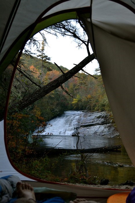 Getting in Touch With Nature