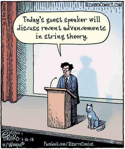 The Talk Was a Cat-Tastrophe