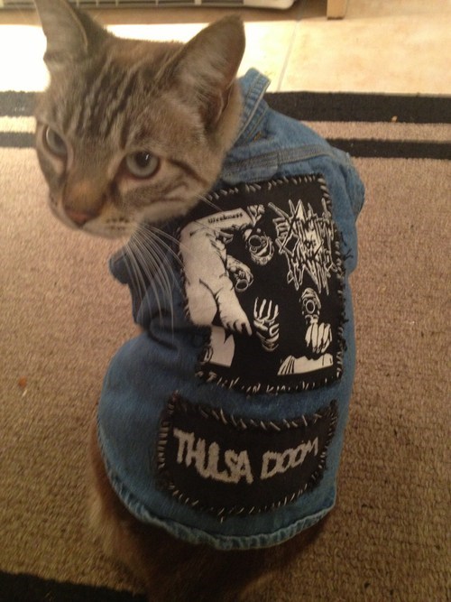 Rebel Without a Claws
