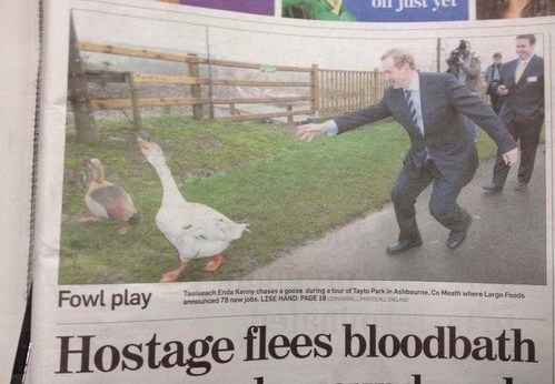 Run, Poultry, Run
